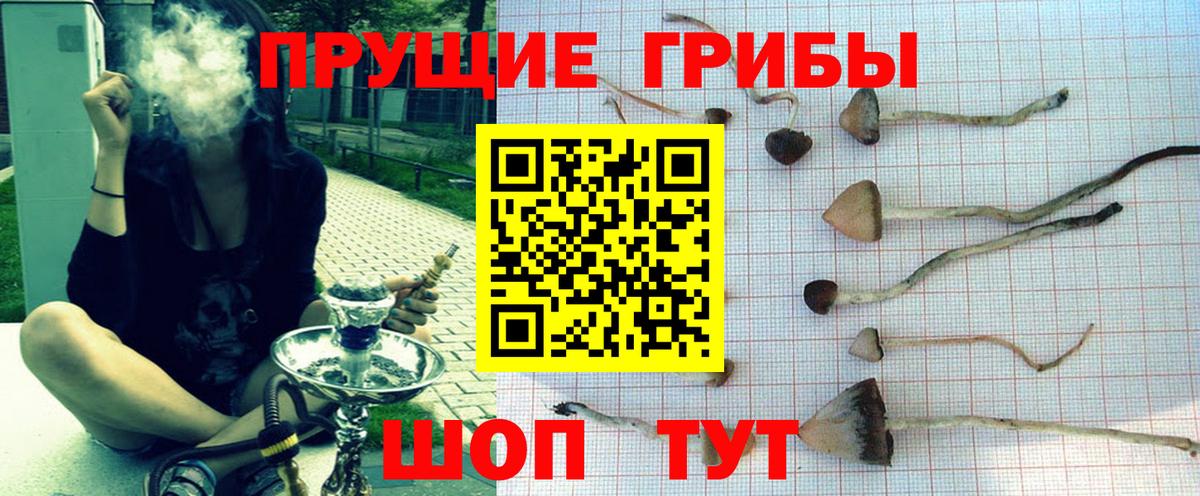 Псилоцибиновые грибы Magic Shrooms Екатеринбург